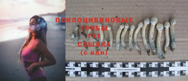 эйфоретик Бородино