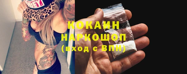 эйфоретик Бородино