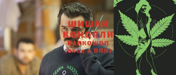 эйфоретик Бородино