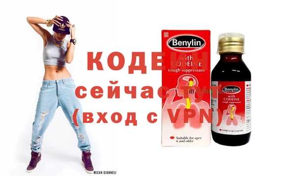 эйфоретик Бородино