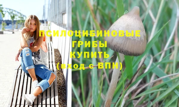 эйфоретик Бородино