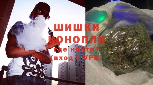 эйфоретик Бородино